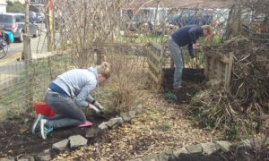 tuinwerk joost en elly